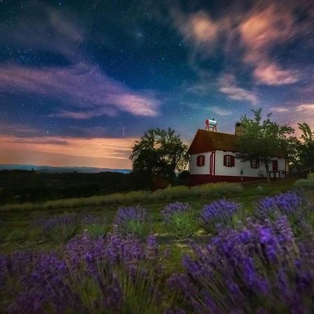 Lavanda Carasova Crasova Bagian luar foto