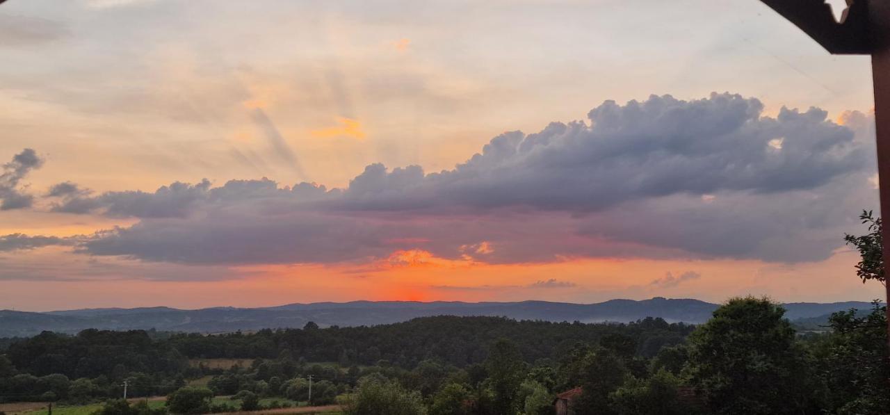 Lavanda Carasova Crasova Bagian luar foto