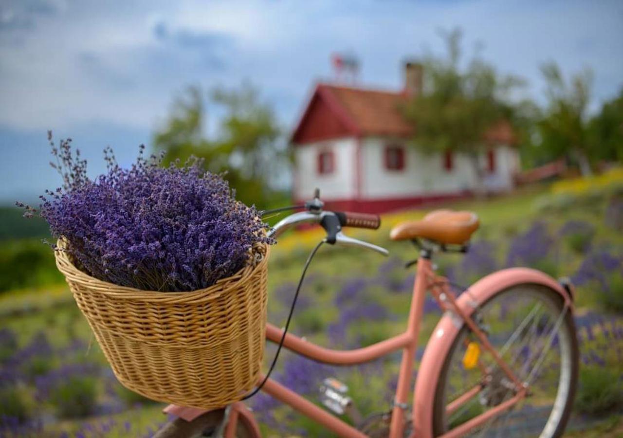 Lavanda Carasova Crasova Bagian luar foto