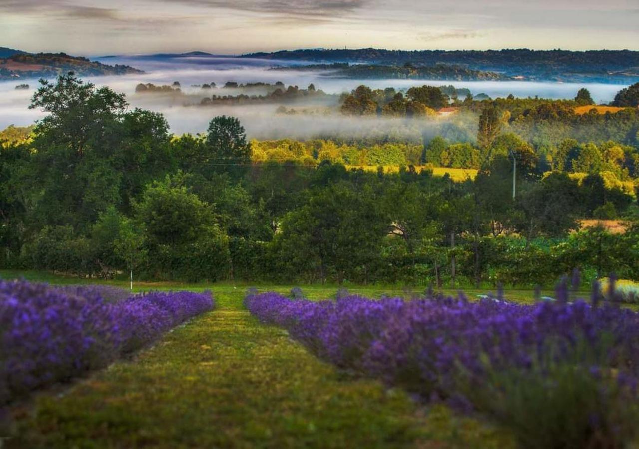 Lavanda Carasova Crasova Bagian luar foto